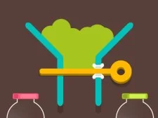 น้ำสีและพิน